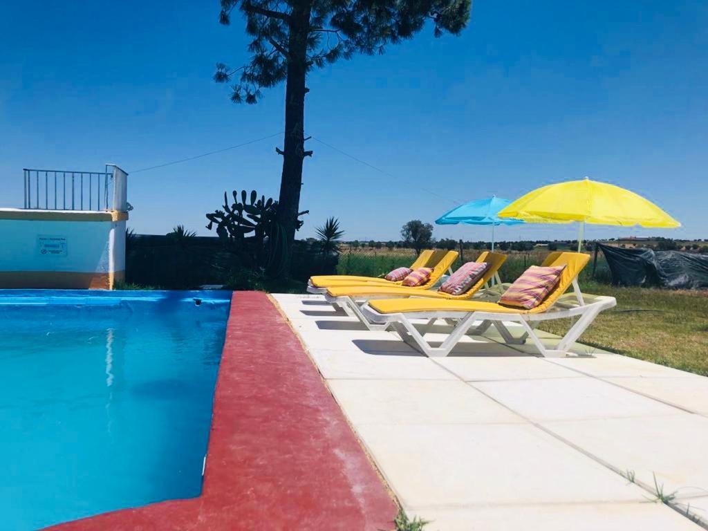 Monte Ramos Pension Ferreira Do Alentejo Buitenkant foto
