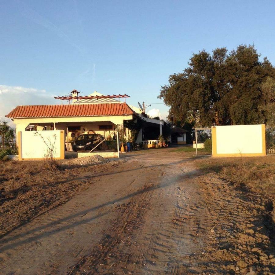 Monte Ramos Pension Ferreira Do Alentejo Buitenkant foto